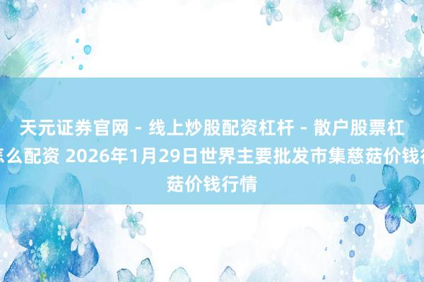 天元证券官网 - 线上炒股配资杠杆 - 散户股票杠杆怎么配资 2026年1月29日世界主要批发市集慈菇价钱行情