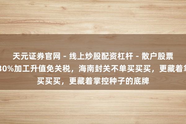 天元证券官网 - 线上炒股配资杠杆 - 散户股票杠杆怎么配资 30%加工升值免关税，海南封关不单买买买，更藏着掌控种子的底牌