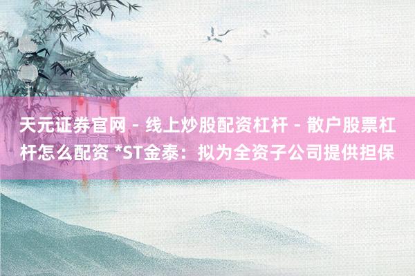 天元证券官网 - 线上炒股配资杠杆 - 散户股票杠杆怎么配资 *ST金泰：拟为全资子公司提供担保
