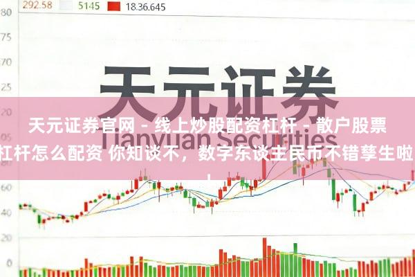 天元证券官网 - 线上炒股配资杠杆 - 散户股票杠杆怎么配资 你知谈不，数字东谈主民币不错孳生啦！