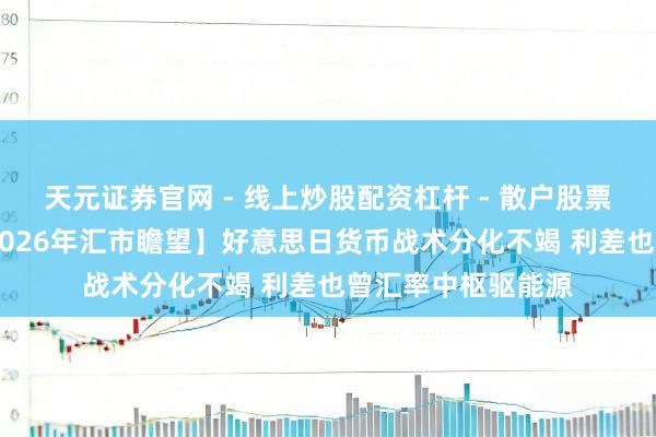 天元证券官网 - 线上炒股配资杠杆 - 散户股票杠杆怎么配资 【2026年汇市瞻望】好意思日货币战术分化不竭 利差也曾汇率中枢驱能源