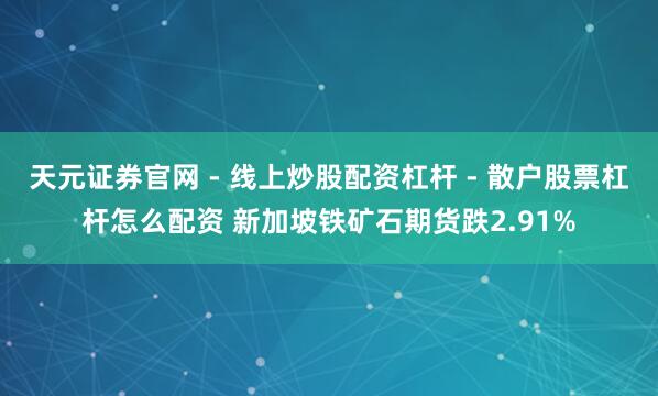 天元证券官网 - 线上炒股配资杠杆 - 散户股票杠杆怎么配资 新加坡铁矿石期货跌2.91%