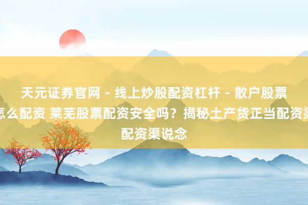 天元证券官网 - 线上炒股配资杠杆 - 散户股票杠杆怎么配资 莱芜股票配资安全吗？揭秘土产货正当配资渠说念