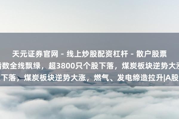 天元证券官网 - 线上炒股配资杠杆 - 散户股票杠杆怎么配资 A股主要指数全线飘绿，超3800只个股下落，煤炭板块逆势大涨，燃气、发电缔造拉升|A股收盘
