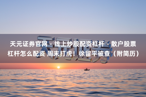 天元证券官网 - 线上炒股配资杠杆 - 散户股票杠杆怎么配资 周末打虎！徐留平被查（附简历）
