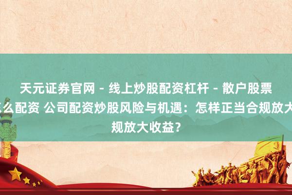 天元证券官网 - 线上炒股配资杠杆 - 散户股票杠杆怎么配资 公司配资炒股风险与机遇：怎样正当合规放大收益？