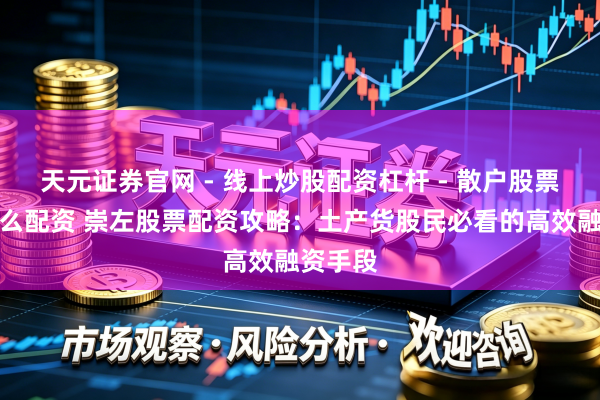 天元证券官网 - 线上炒股配资杠杆 - 散户股票杠杆怎么配资 崇左股票配资攻略：土产货股民必看的高效融资手段