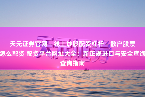天元证券官网 - 线上炒股配资杠杆 - 散户股票杠杆怎么配资 配资平台网址大全：新正规进口与安全查询指南