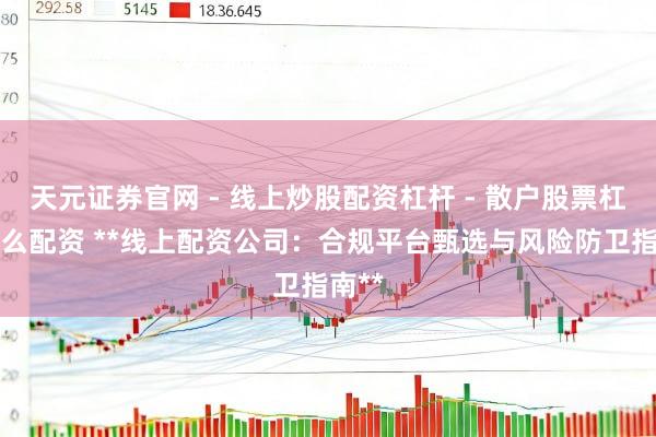 天元证券官网 - 线上炒股配资杠杆 - 散户股票杠杆怎么配资 **线上配资公司：合规平台甄选与风险防卫指南**